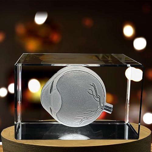 Miniatura 2 de Arte de ojos para oftalmólogos  Recuerdo de cristal grabado en 3D  Regalo para médico  Coleccionable  Recuerdo  Regalo personalizado con foto de