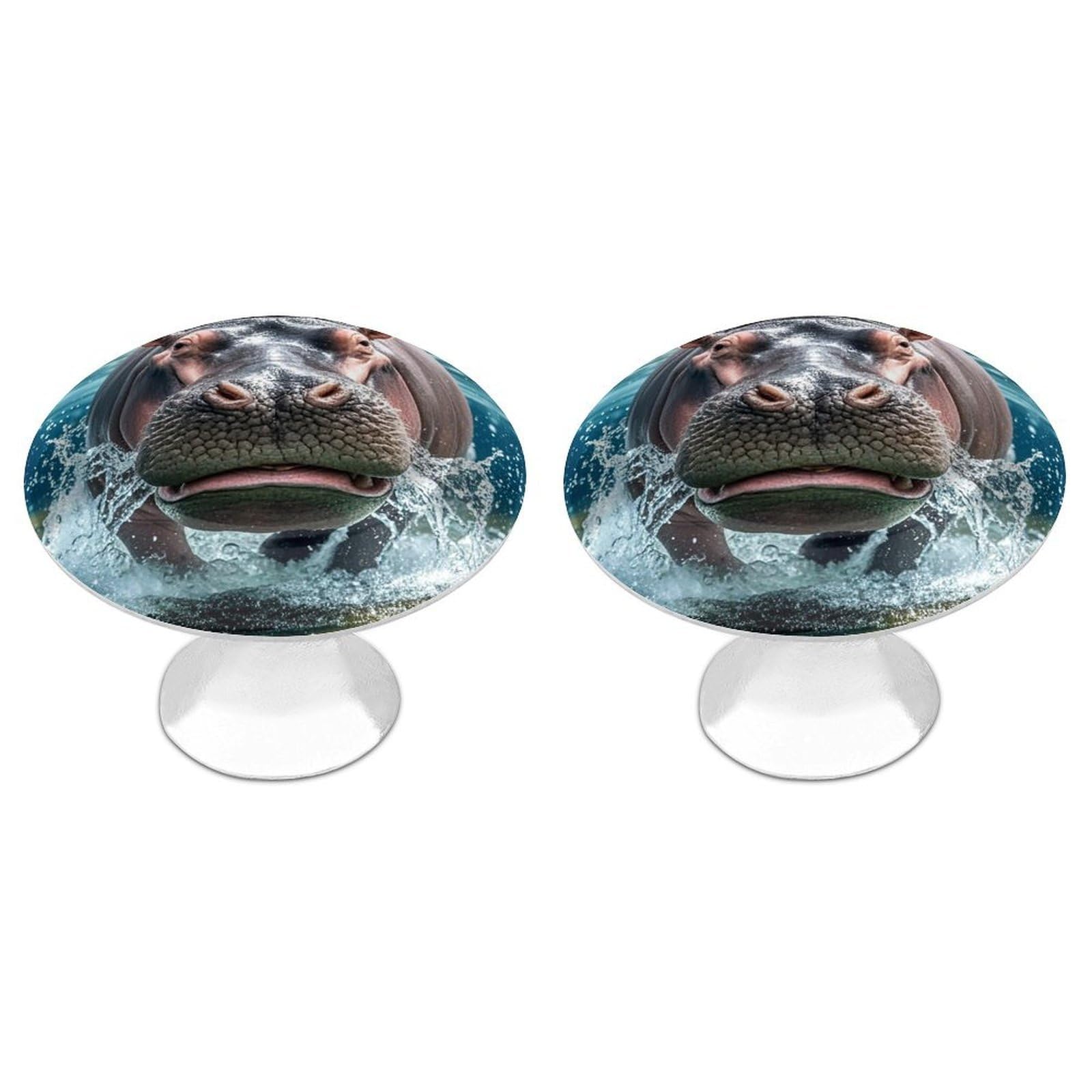 FekiLoot Round Cabinet Knob 2 Pack Kitchen Drawer Knobs Stainless Steel Round Drawer Pulls Modern Cabinet Hardware Diving Hippo Drawer Hardware for Dresser Closet Door Knobs