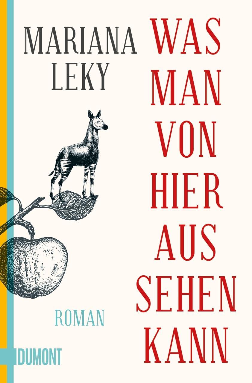 Was man von hier aus sehen kann: Roman