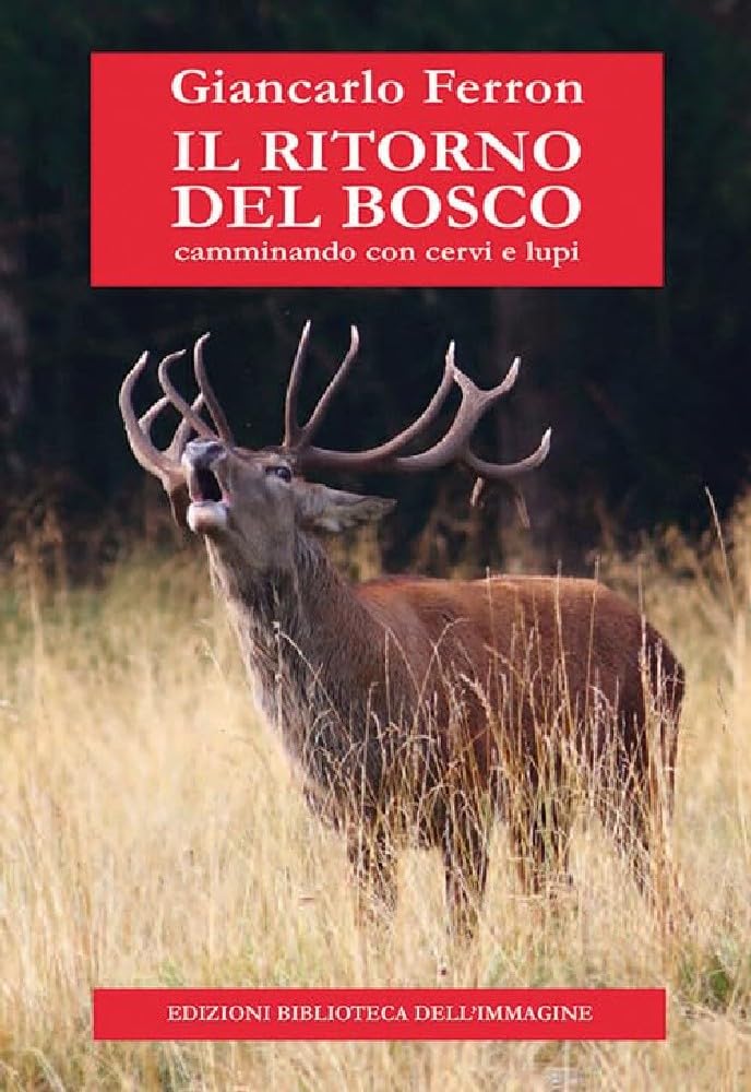 Il Ritorno Del Bosco. Camminando Con Cervi E Lupi - 4