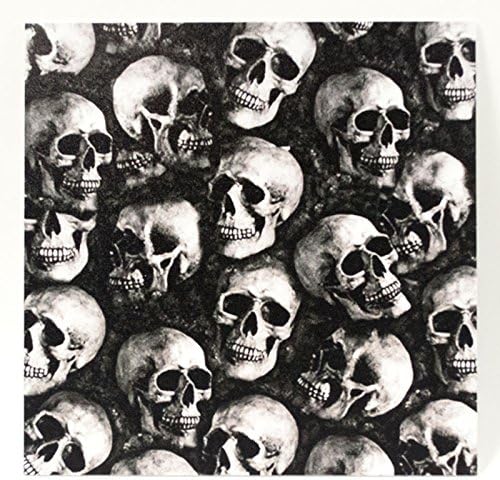1 Sheet of 7.5" x 7.5" x .080" Infused Kydex Material - Skulls Print