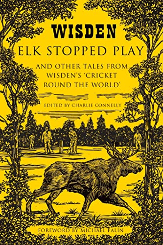 Elk Stopped Play view 2