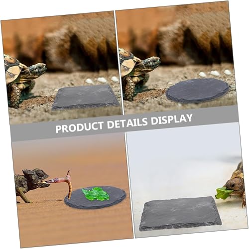 Miniatura 5 de 2pcs Cuenco de pulido de uñas Reptil Basking Plataforma Tortuga Plato de comida Colorfast Multifuncional