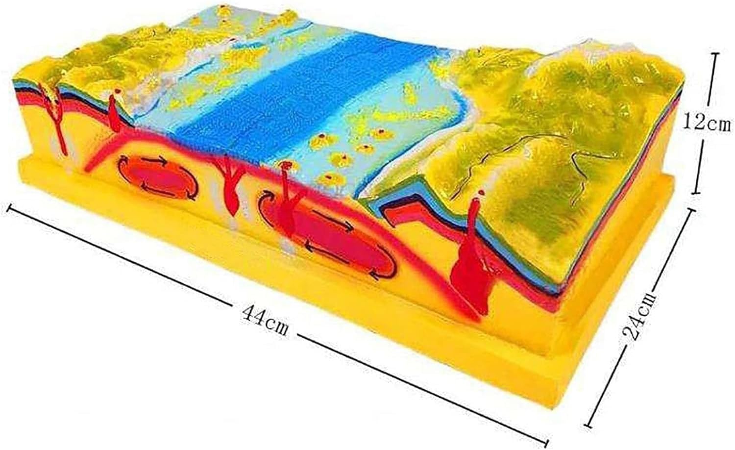 2-elementowy model tektoniki płyt geologicznych 3D, model interpretacyjny mapy konturowej, modele nauk o ukształtowaniu terenu, modele geologiczno-topograficzne, obejmujące dno morskie, góry, skorupę