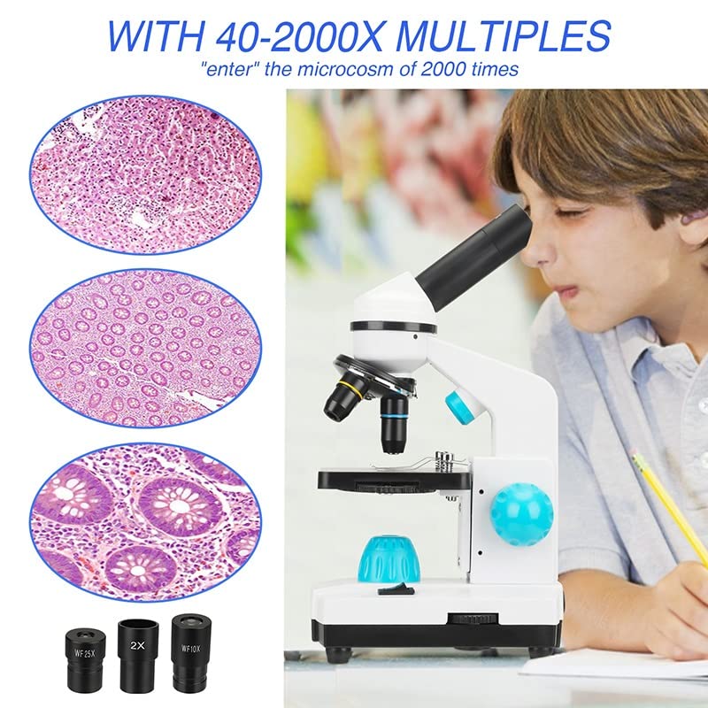 Microscope 100-2000X Magnification Biological Microscope(110V)