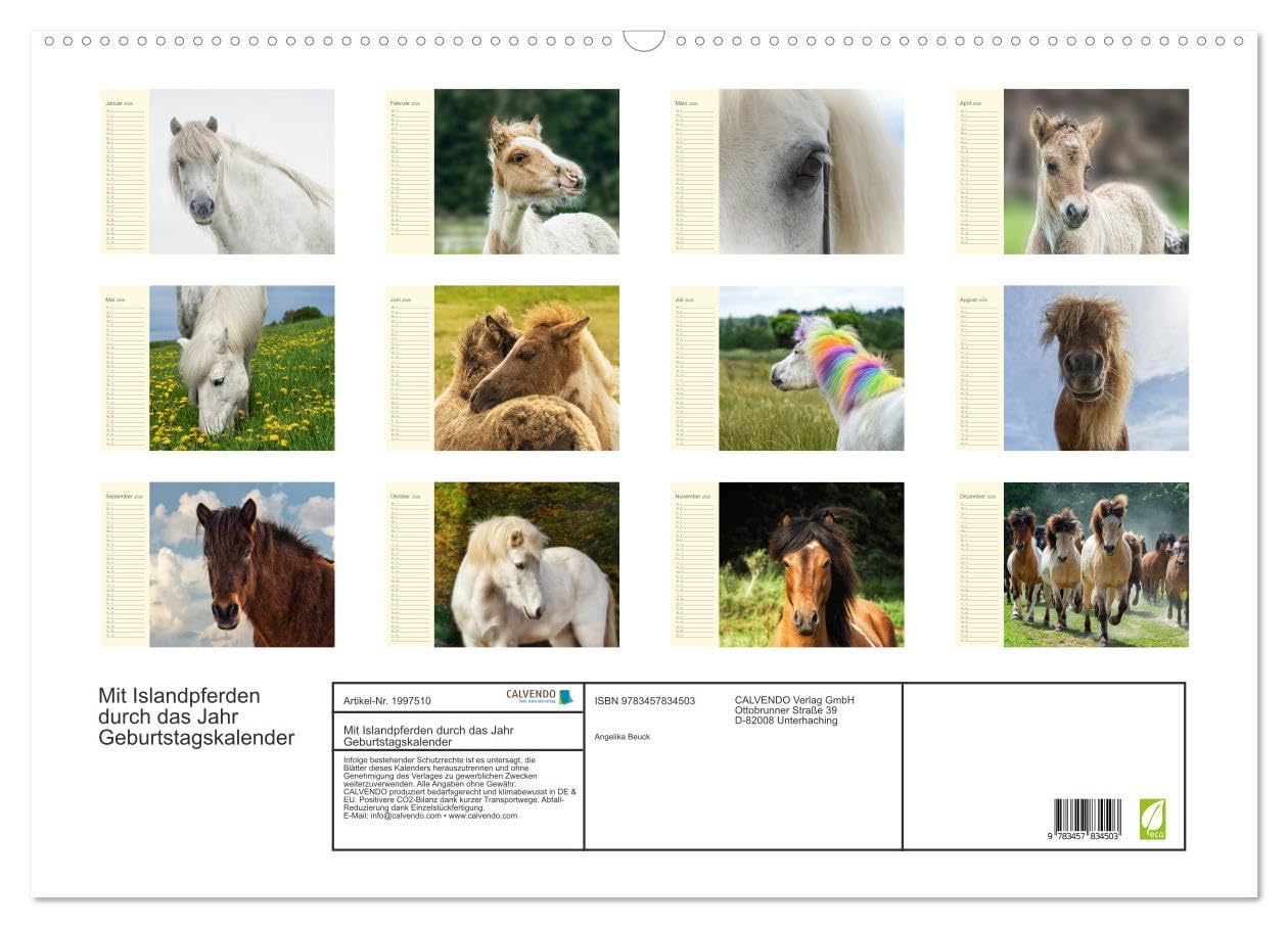 Mit Islandpferden durch das Jahr Geburtstagskalender (Wandkalender 2026 DIN A2 quer), CALVENDO Monatskalender: Islandpferde, Termine, Geburtstage, Events (CALVENDO Tiere)