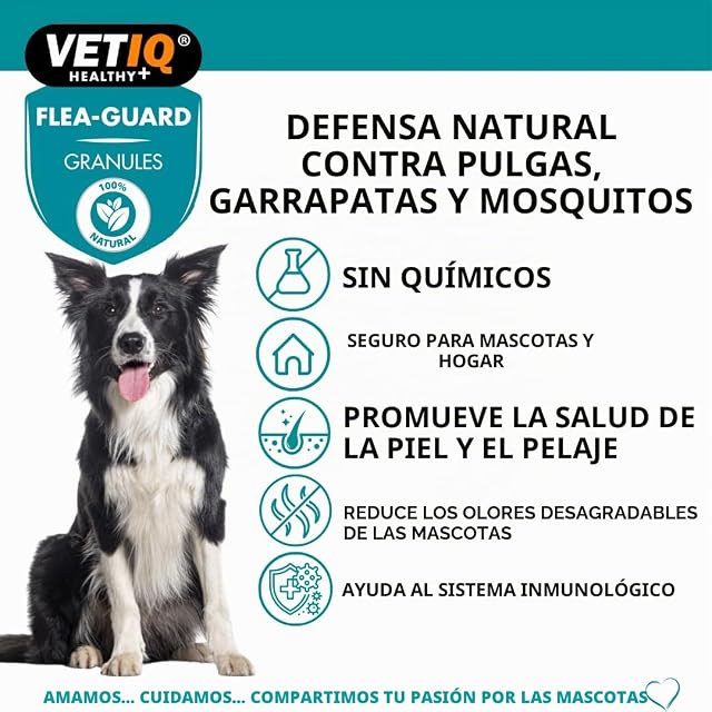 Foto 4 de 7 de Mark & Chapell Limited - Anti-Pulgas y garrapatas