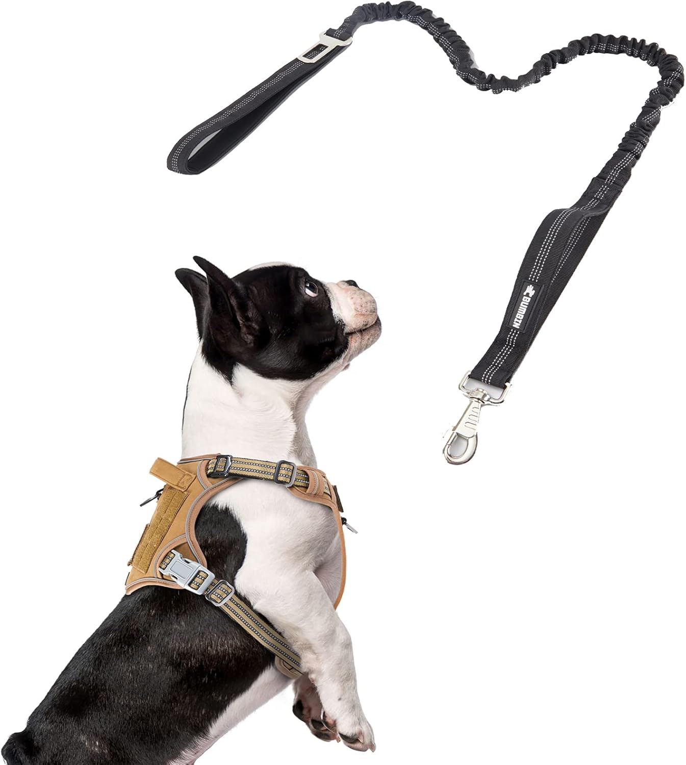 BUMBIN Dog Harness for Large Dogs No Pull, Tactical Dog Harness, with Handle, Adjustable Dog Vest Harness, 6Ft Bungee Dog Leash Large Dogs, No Pull Shock Absorbing Dog Leash with Car Seat Belt