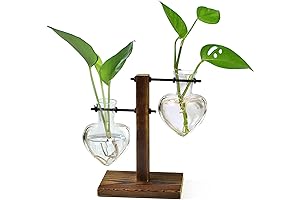 Double Love Bulb Glass Terrarium Plant Holder Retro Hydroponic Planter Metal Stand for Plants Decoration