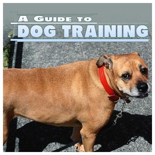 Dog Training System - Part 2