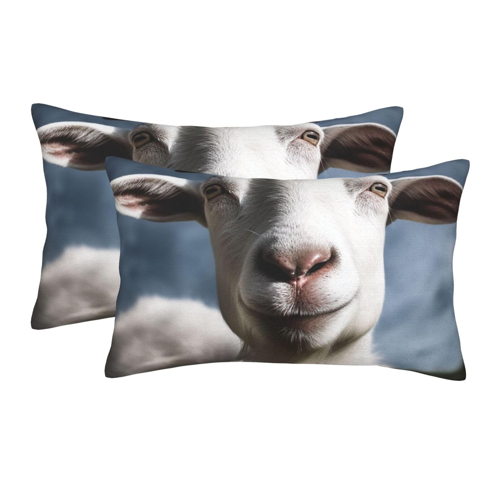 2 Pack Pillow Cases with Hidden Zipper, Soft Breathable Pillow Covers for Hair and Skin, Goat Pillowcases 20"x30" Bed Pillow Protectors Cover for Sleeping Gifts