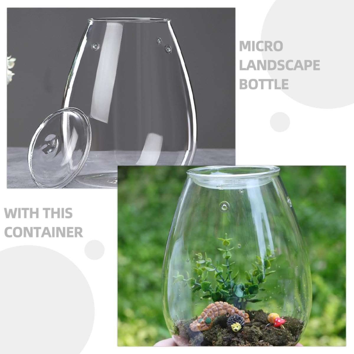 OSALADI Terrarium Glasflasche Ökologische Pflanzflasche Mikrolandschaft Selbstgemacht Behälter für Moos Pflanzen Wohndeko Wohnzimmer Büro