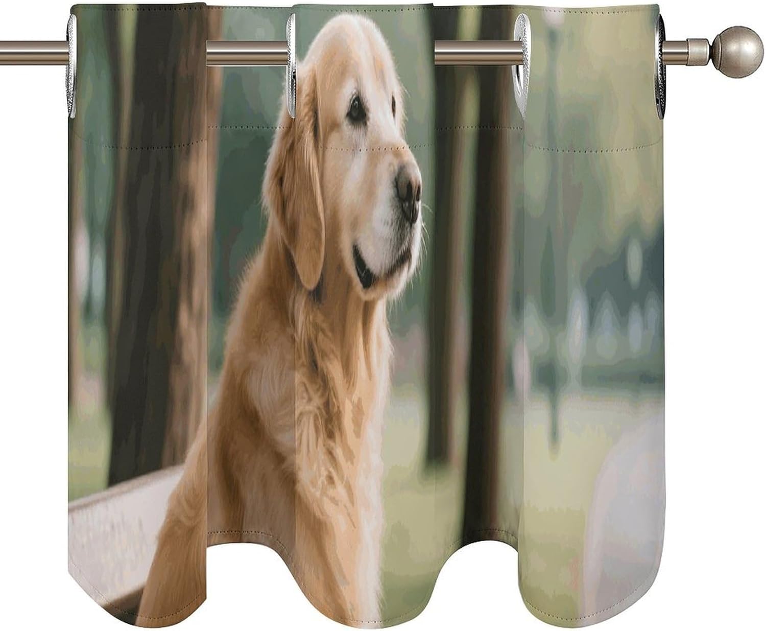 Dog Resting on Bench Valance for Windows, 2 Pack Kitchen Curtains Modern Home Decor, Soft Blackout Window Curtains for Living Room & Bedroom, 18 X 52 Inch