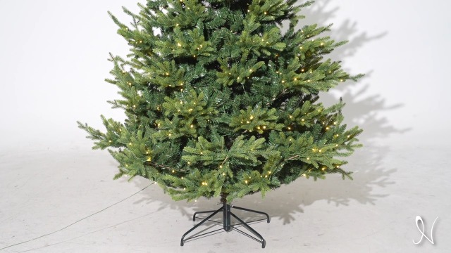 Amazon.com: Kinsley 9ft Prelit Aritificial Christmas Tree with