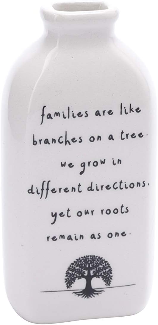CGB Giftware Sent & Meant 'Families are Like Branches on a Tree' Gifting Bud Planter Flower Vase Decorative Piece from GB04580