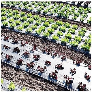 BCJMKDX Film Transparente, Película de plástico for mantillo de 5 Agujeros, Color Negro, con Espacio Entre Agujeros de 15 cm, for Cultivo de Plantas de huerto.(20 Meters)