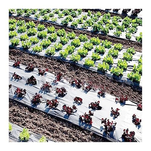 5ホールブラックプラスチックマルチフィルムホールスペース15cm 野菜庭園植物映画保護カバー温室穴あきPEマルチフィルム (Size : 5 Meters)