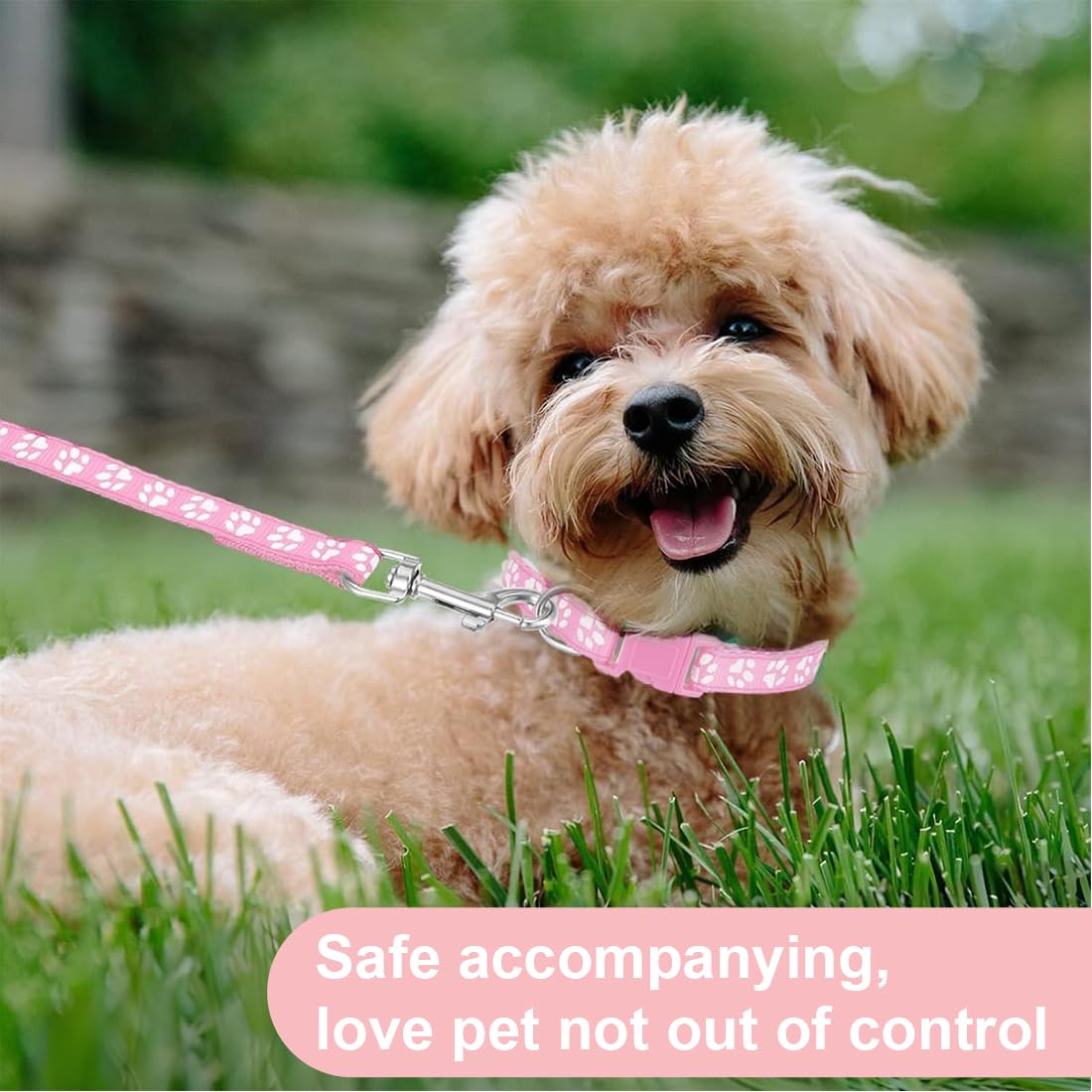 Collare Cane,collari e guinzaglio,Guinzaglio per Cani, regolabile per cani e gatti, con guinzaglio a sgancio rapido con fibbia per cani di piccola taglia e gatti cuccioli (rosa)