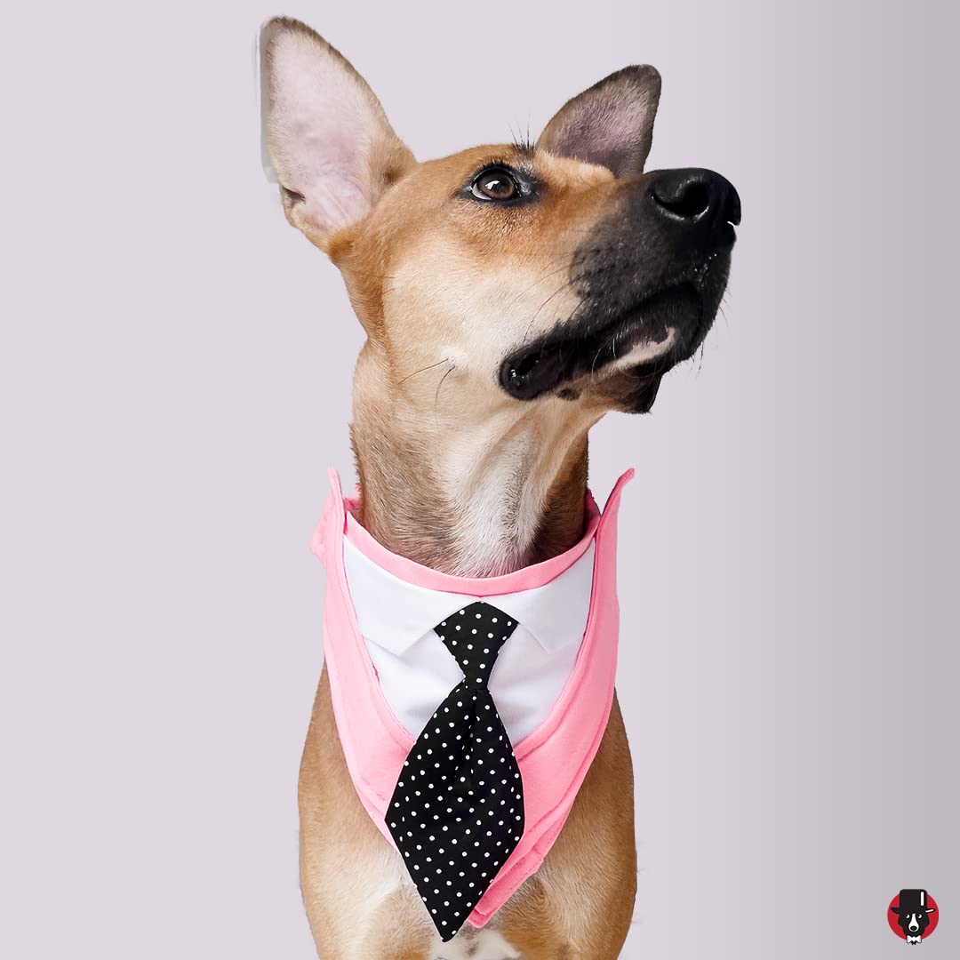 That Dog In Tuxedo New England Tartan Dog Winter Bandana (XL) (B01N4OVG56) Amazon Price History, Amazon Price Tracker