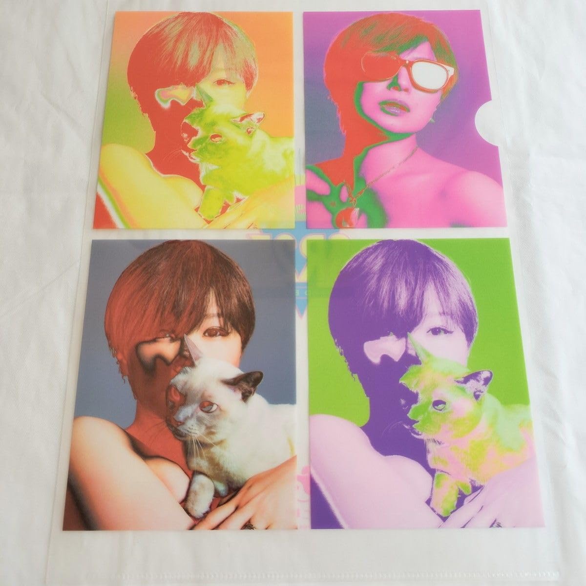 Amazon.co.jp: 椎名林檎 クリアファイル A4サイズ 放生会 25周年記念