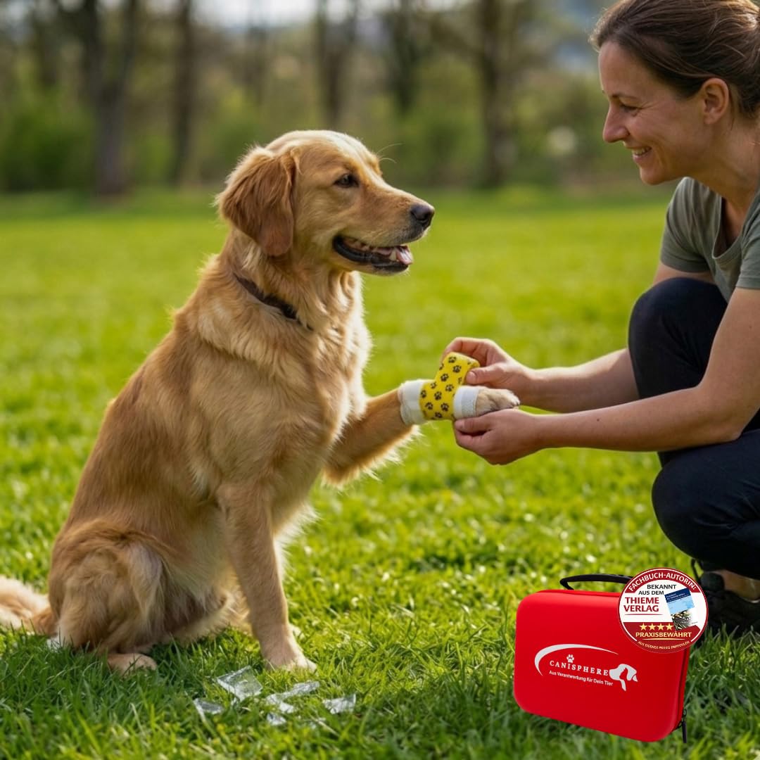 Erste-Hilfe Box für Hunde mit über 70 Einzelteilen