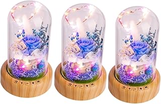 UKCOCO 3Pcs Luz Noturna Portátil Alto-Falantes Externos Sem Fio Alto-Falante Sem Fio Luz Noturna Sem Fio Alto-Falantes Sem Fio Alto-Falantes Portáteis Áudio Presente De Aniversário