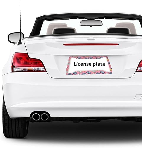 Miniatura 6 de 2 marcos de matrícula de automóvil para mujeres y hombres, cubierta de aluminio sólido con cinta vintage para placa de matrícula para accesorios de