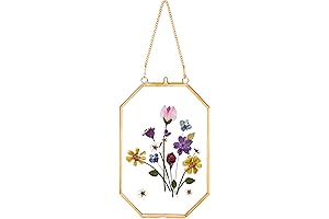 Pressed Flower Wall Decor: Intricate Glass Frames for Nature's Art