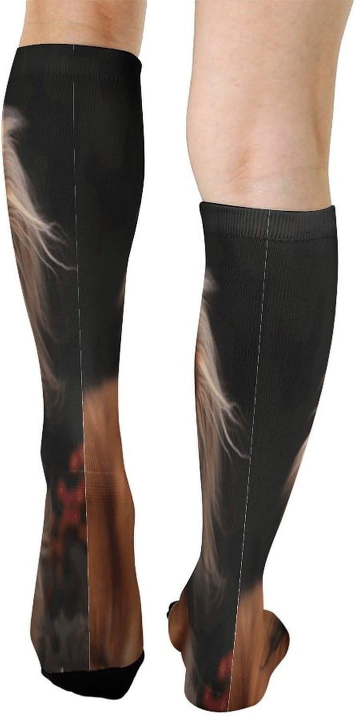 Long Haired Dachshund Compression Sock Circulation Support Socks Lightweight Knee High Tube Sock Over-The-Calf Sock for Adult