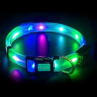 Light up Dog Collars, LED Dog Collar Light, USB Rechargeable Bright Flashing Dog Collar with 100% Waterproof, Lighted Safety Collar for Walking at Night for Medium, Large Dogs