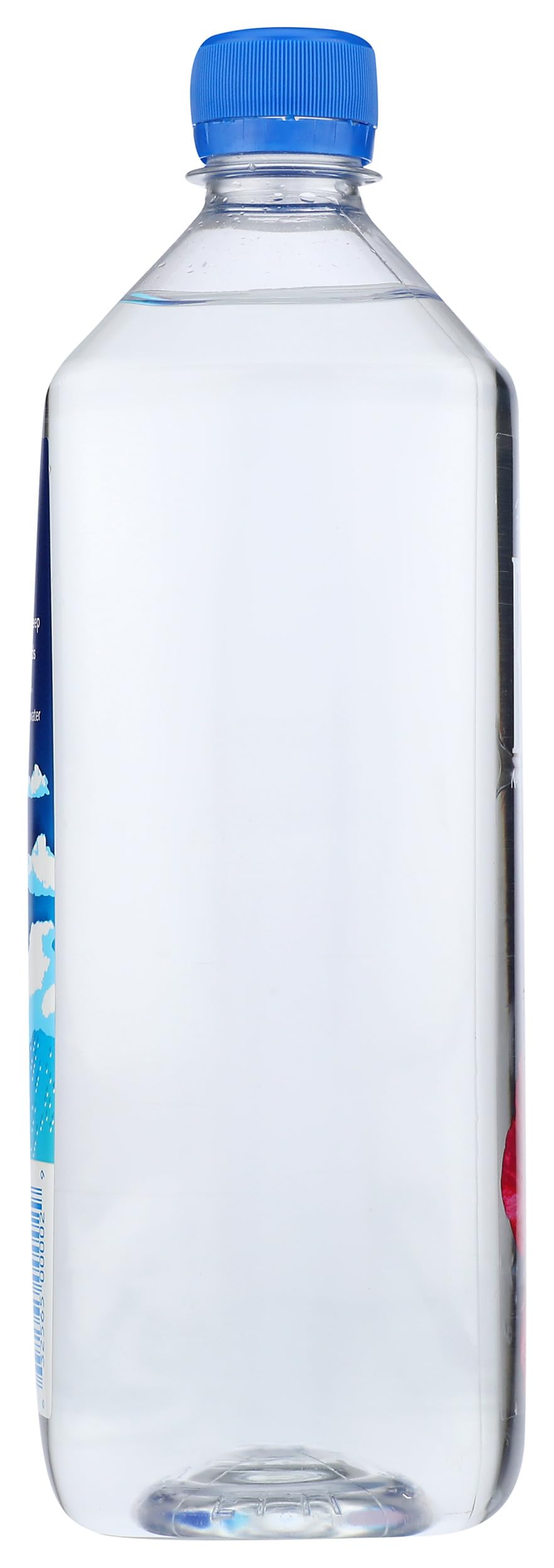 FIJI Natural Artesian Bottled Water 1 Liter / 33.8 Fl Ounce Bottle (Single)