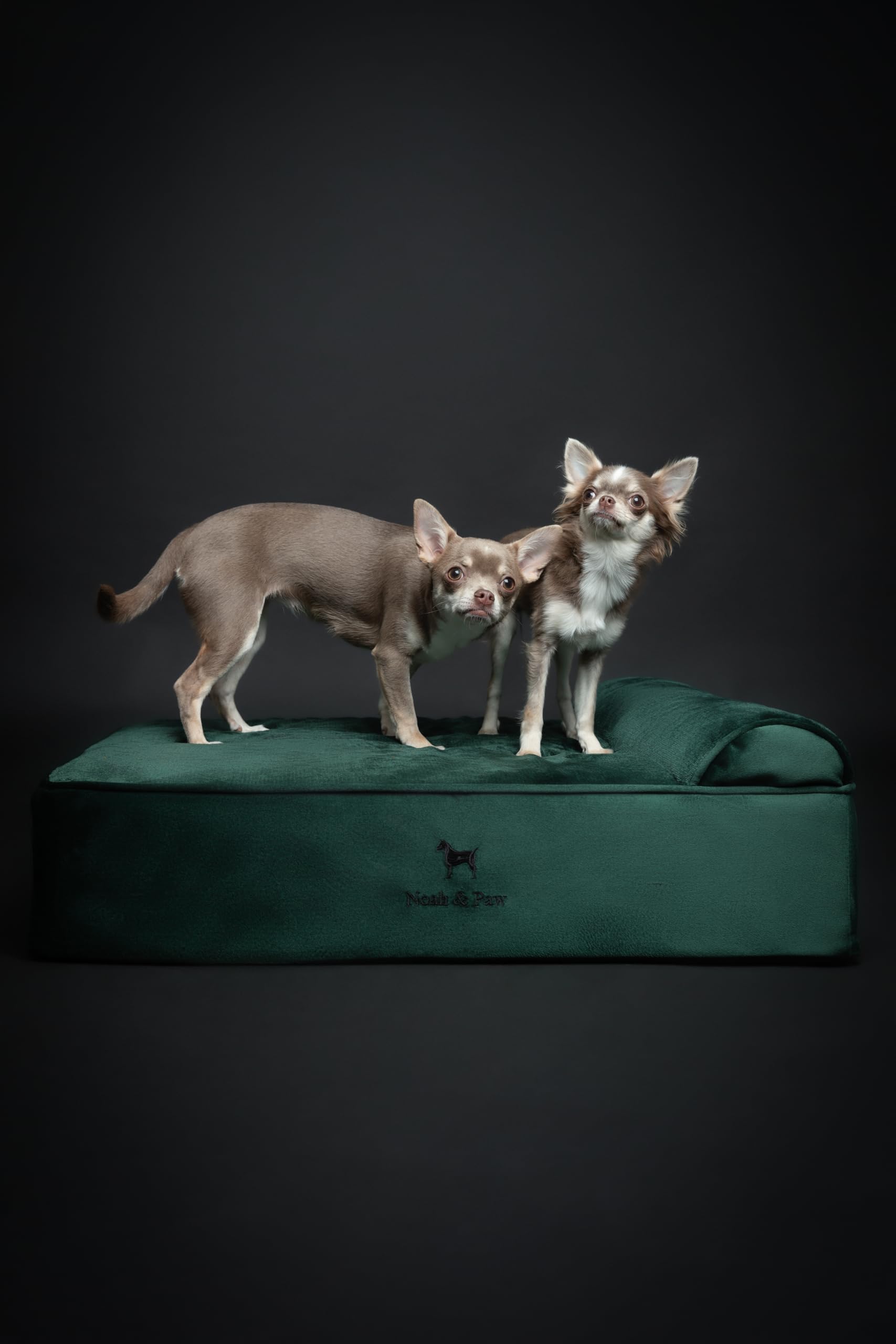 NOAH & PAW Dog Bed, 28x23x7.5 Inch, Orthopedic Dog Beds for Medium Size Pets, Eggshell Memory Foam Infused with Cooling Gel, Waterproof, Machine Washable, Includes Inner Cover (Velvet Collection) - image 7