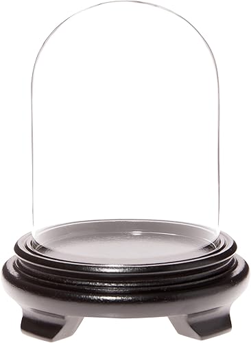 Miniatura 3 de Plymor Cúpula de cristal de 4" x 5.25" (base con patas de chapa de madera de nogal)