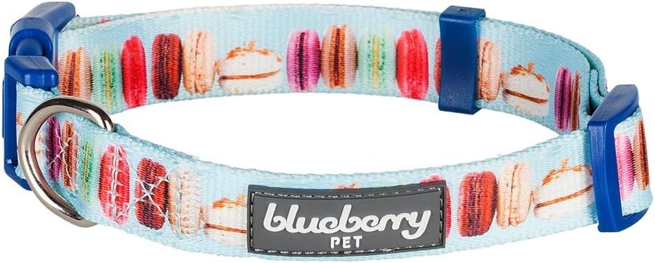 Blueberry Pet Essentials The Ultimate Macaroon Cake Adjustable Dog Collar, Small, Neck 12"-16"