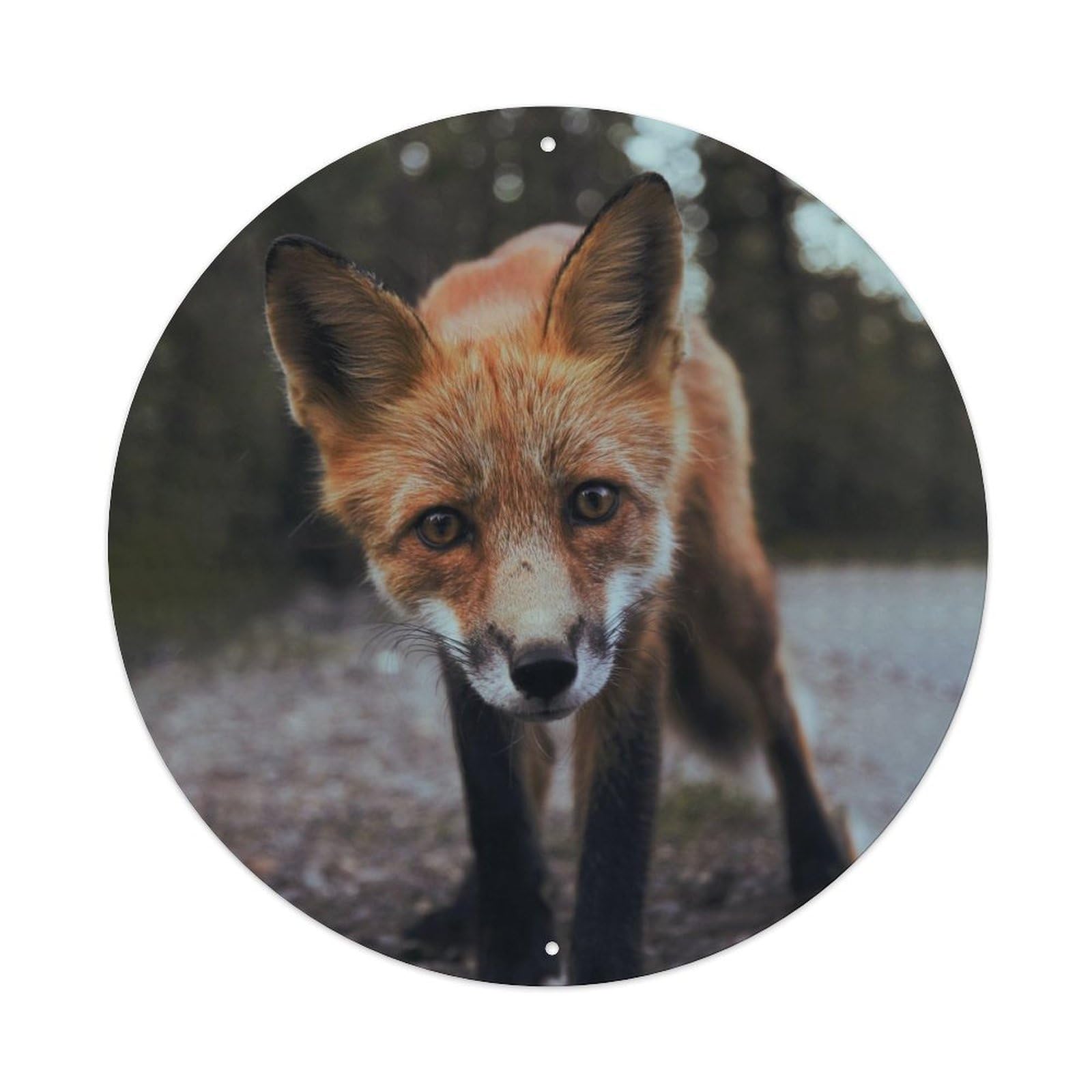 Red Fox Wildlife Cute Animal Forest Classic Metal Tin Sign