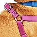 Youly Adjustable Dog Harness Berry Medium/Large