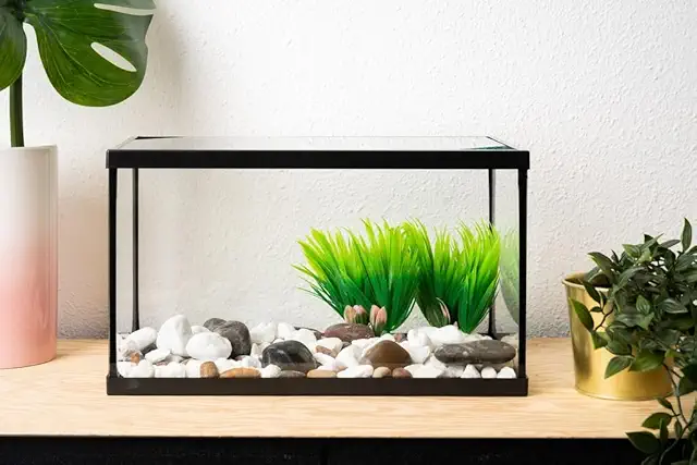 Acuario de Cristal BETTASHOP.ES para Peces 20 Litros