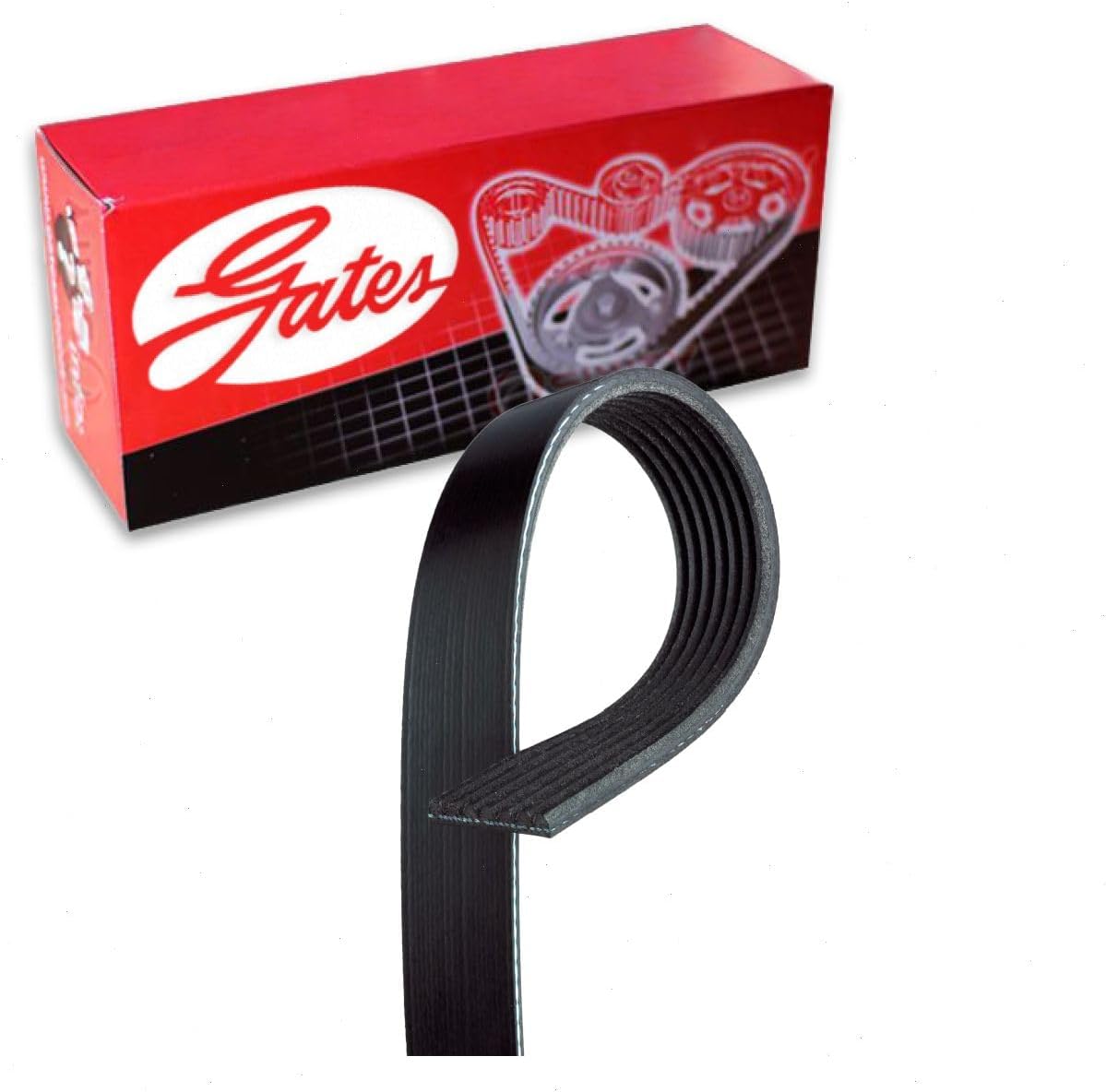 Gates Micro-V Serpentine Belt compatible with Toyota 4Runner 4.0L V6 2010-2020