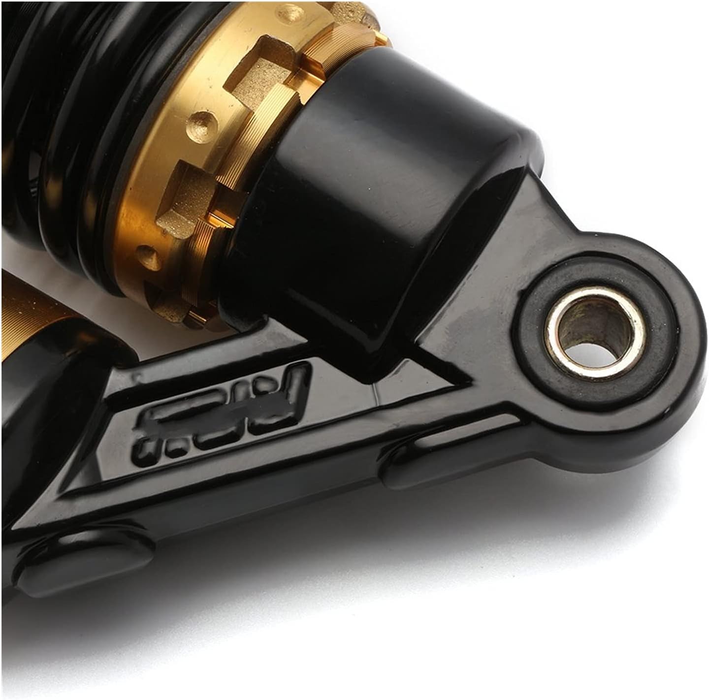 浦風 椿 接木苗 鉢底約100cm 椿園オンラインショップ / 接木苗・挿木苗