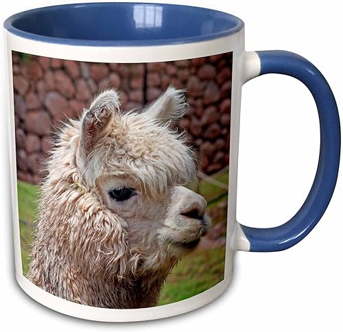 Miniatura 1 de 3dRose Peru Alpaca Wildlife, Awana Kancha, Urubamba Valley-SA17 KWI0128-Kymri Wilt - Taza de dos tonos, 11 onzas, azulblanco