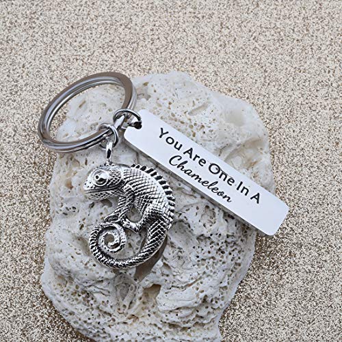 CHOORO You Are One In A Chameleon Keychain Chameleon Pendant Jewelry Happy Anniversary Birthday Valentine's Day - Image 5