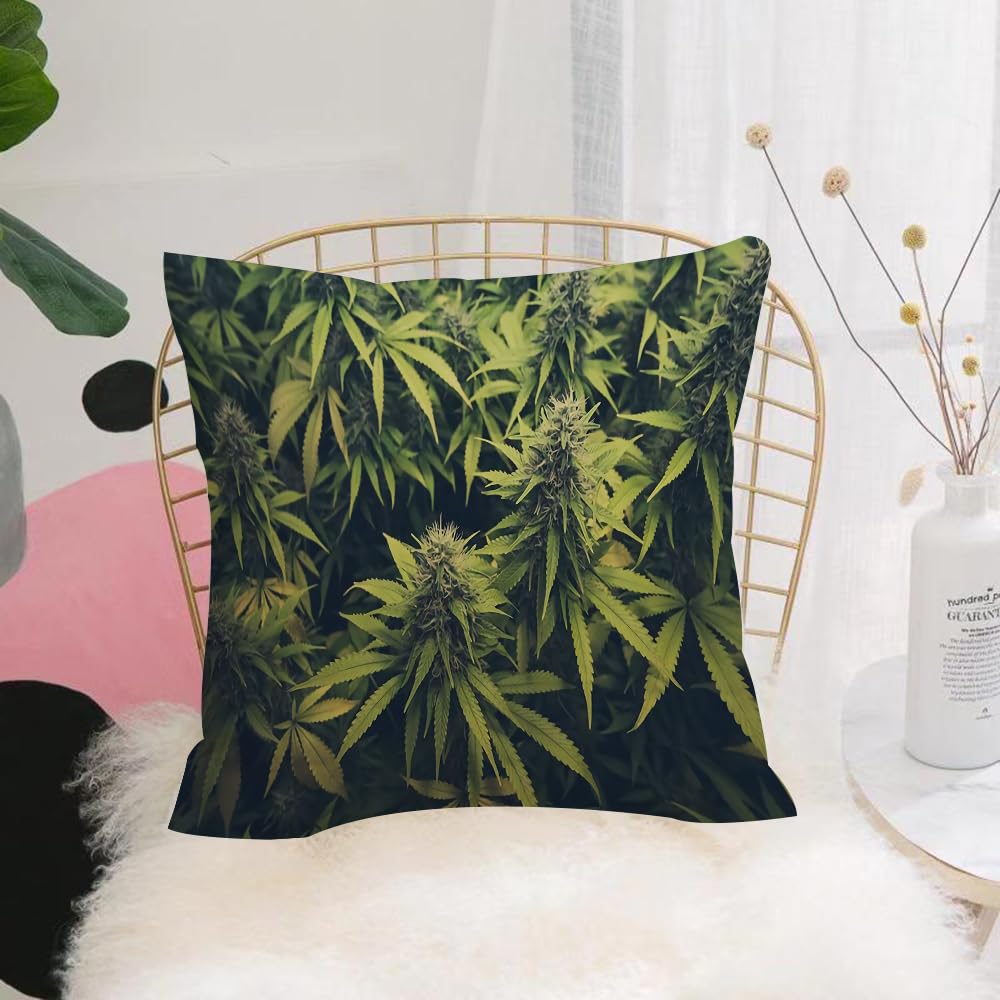 HYOSXW Cushion Cover,Throw Pillow Case Home Decorative for Living Room Bedroom Sofa Chair 16X16 Inch,Grass, green, herb pattern, cannabis buds, cannabis plants, cannabis grass rela,Pillowcase 40X40cm