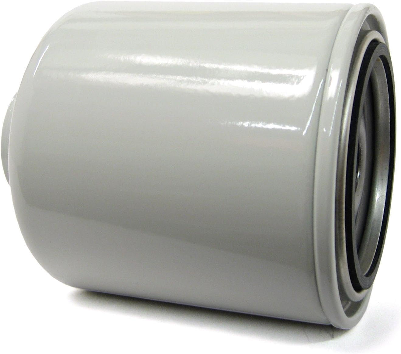 ACDelco Gold TP1289 (25313750) Fuel Filter