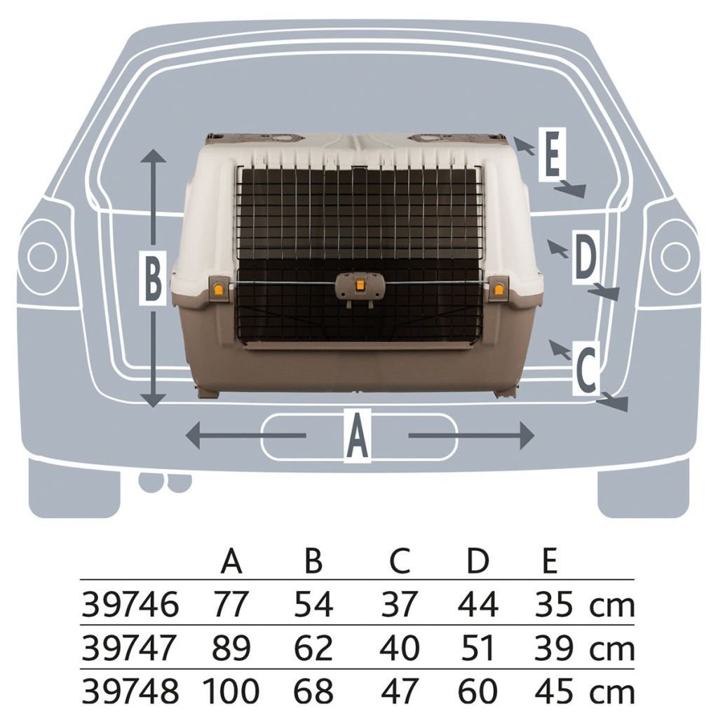 Skudo Car 100 Caisse de Transport Taupe Sable 100 x 68 x 60 cm