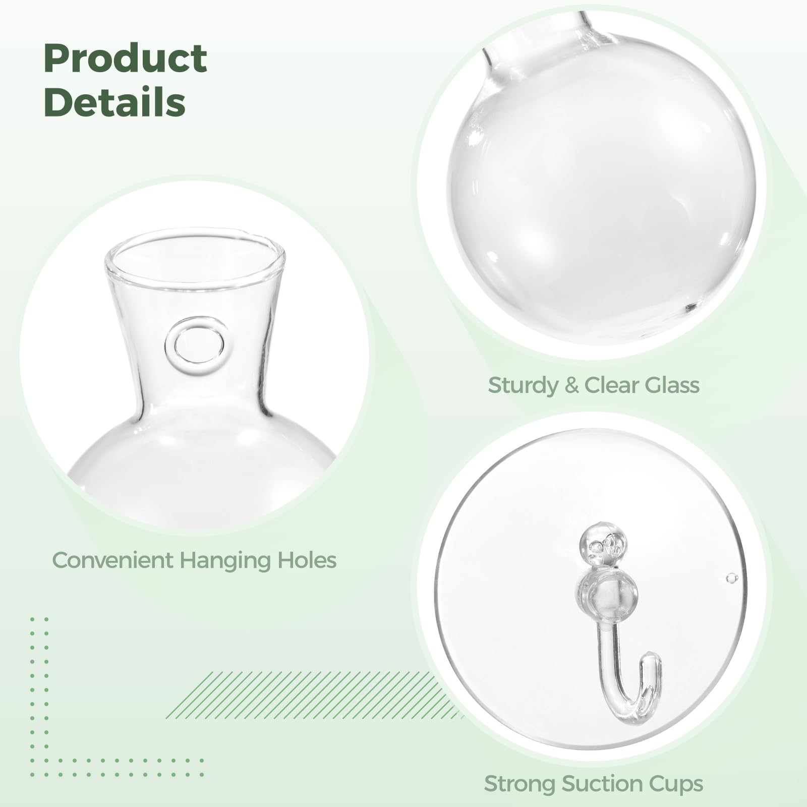 Lot de 4 vases de propagation de plantes en verre, fenêtre suspendue avec 4 ventouses et 2 brosses, vases de terrarium pour culture d'eau, décoration d'intérieur parfaite et cadeau de