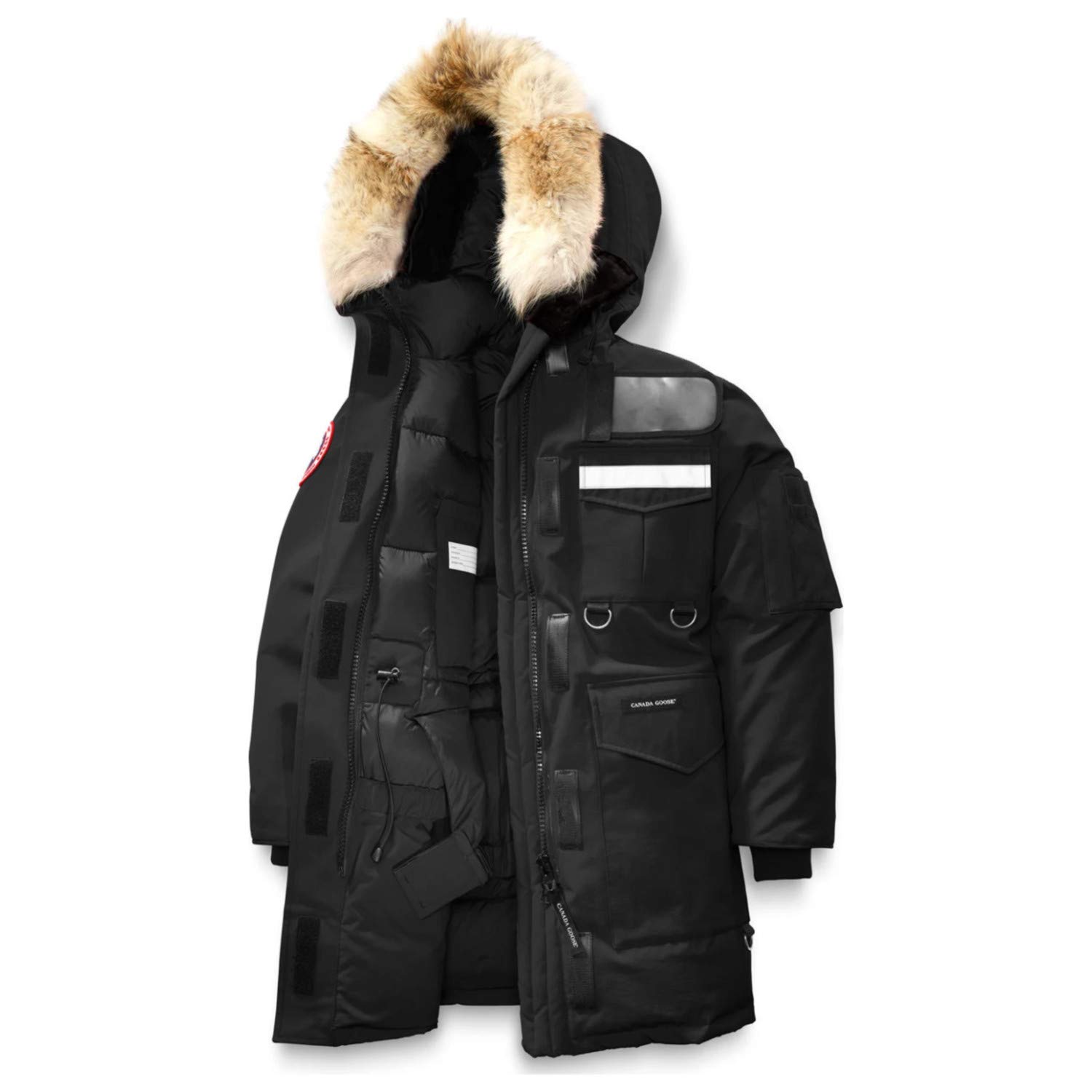 Canada Goose
