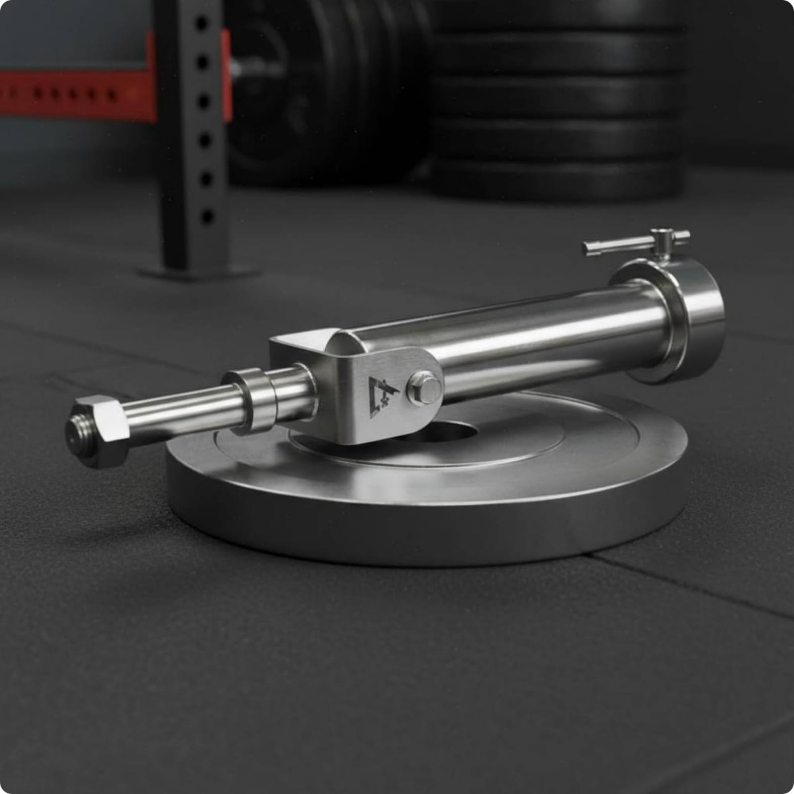 LOVIVER Fitnessgerätständer Gelenkhalter Edelstahl Drehbare Basis für Ganzkörpertraining Rückentraining Persönliche Trainingspläne Fitnesscenter