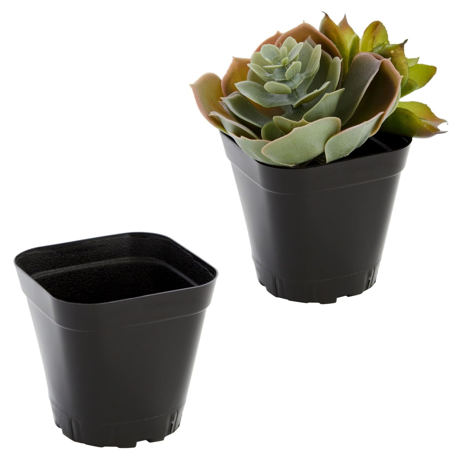 Juvale Lot de 150 Petits Pots de semis carrés en Plastique de 5,1 cm pour Plantes, jardinières de démarrage pour semences, Fleurs, Plantes Grasses, Propagation, Jardin intérieur (Noir)
