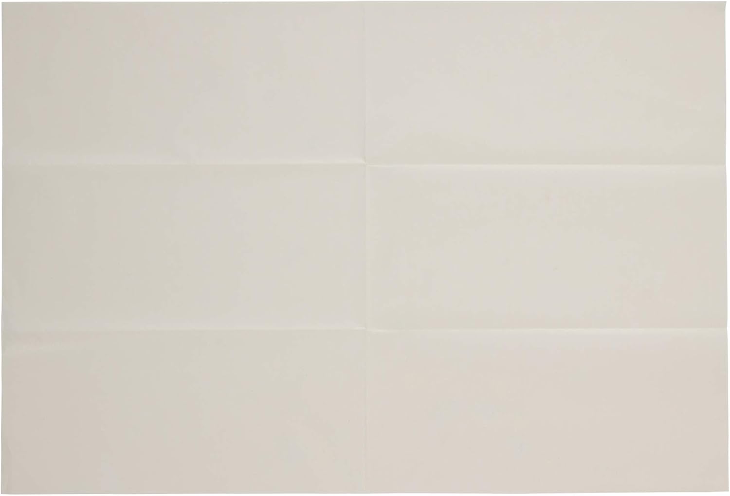 Chaco Paper ME-3 Design Copy Paper Super Chaco Paper for Design, Single Sided Hanger Type, 1 Piece, Width 11.8 x Height 17.3 inches (300 x 440 mm), White