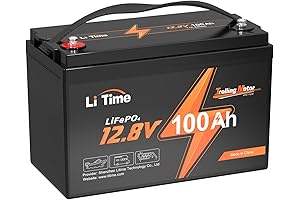 Litime 100Ah 12V Lithium Iron Phosphate Battery